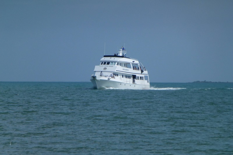 P10209810001.JPG (800x533 pixels)