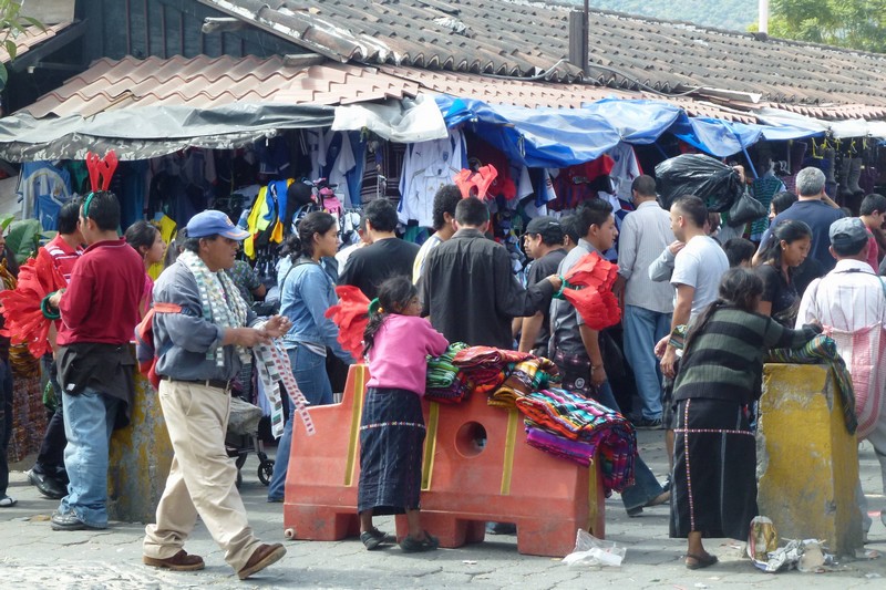 P10301160001.JPG (800x533 pixels)