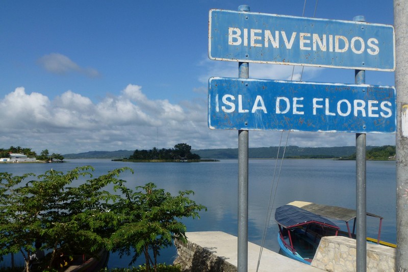 P10300140001.JPG (800x533 pixels)