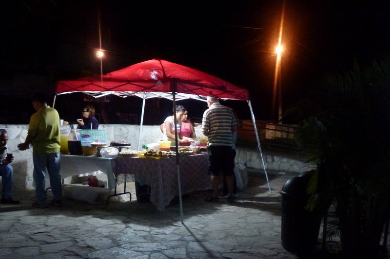 P10300600001.JPG (800x533 pixels)