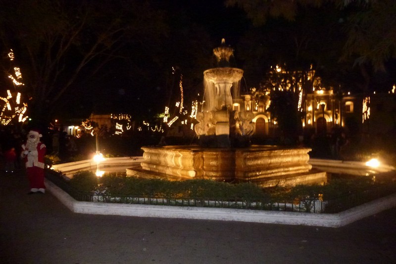 P10300840001.JPG (800x533 pixels)