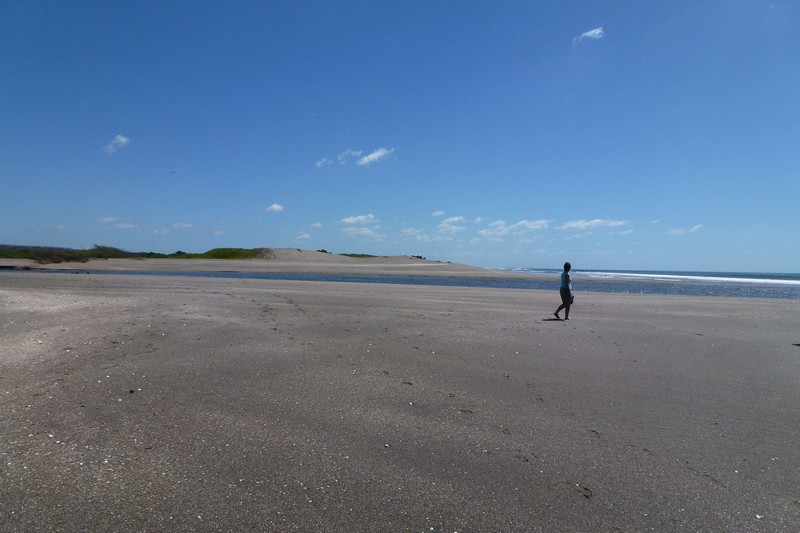 P10307530001.JPG (800x533 pixels)