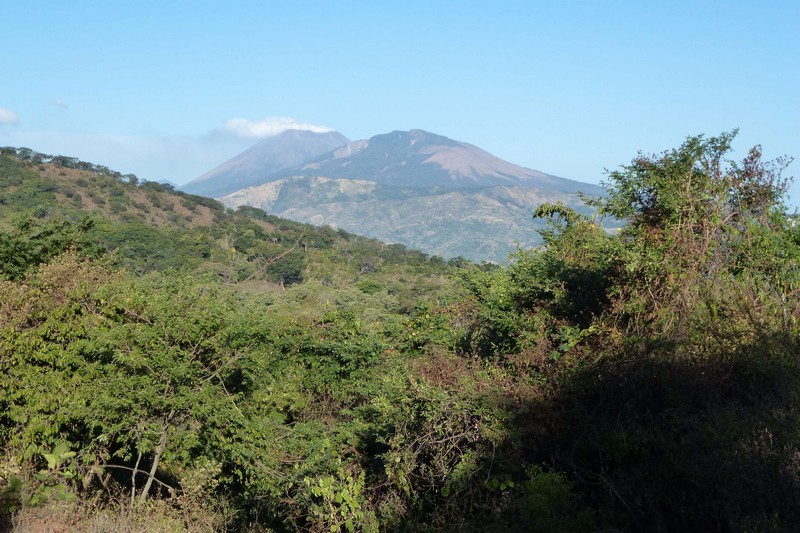 P10307950003.JPG (800x533 pixels)